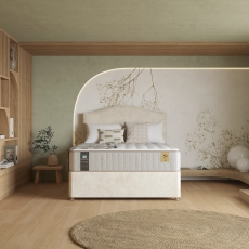 Celebration Firm 5'0 Platform Top Divan Set