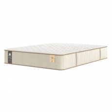 Celebration Firm 5'0 Platform Top Divan Set