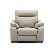 Lulu Power Recliner Chair with Adjustable Headrest and USB