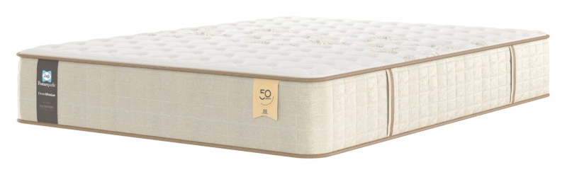 Sealy Celebration Firm 6'0 Mattress