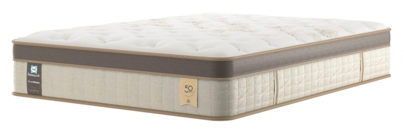 Sealy Celebration Plush 6'0 Mattress