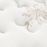 Sealy Celebration Plush 5'0 Mattress