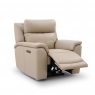Premier  Oakwood Power Recliner Chair with Adjustable Headrest and USB