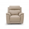 Premier  Oakwood Power Recliner Chair with Adjustable Headrest and USB