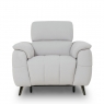 Premier  Farah Power Recliner Chair with Adjustable Headrest and USB