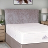 Gypsy 2'6 Strutted Headboard