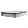 Sealy Picket Plush 5'0 FLEX Mattress