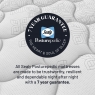 Sealy Fleming Firm 3'0 FLEX Mattress