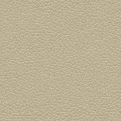 L845 Cambridge Putty