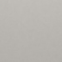 Light Grey Gloss (LELG)