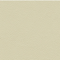 H002 Oxford Putty