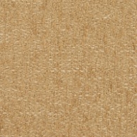 Avola 19304 Teddy
