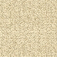 A1041-51 Boucle Oyster