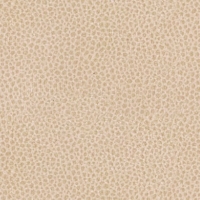 A122 Stingray Linen