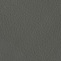 New Georgia - Dark Chocolate (NWS 1748)