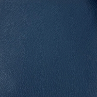 CAT5513 Blue