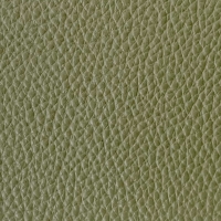 Olive Green Plush Faux Hide