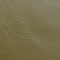 Olive Green Faux Hide