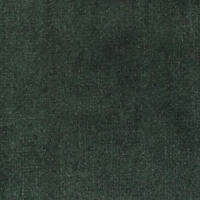 Duke Bottle Green