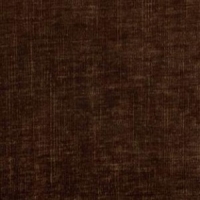 Dion Brandy