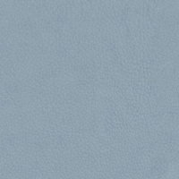 L842 Cambridge Grey