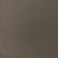 M053055-0026 Madri Mushroom