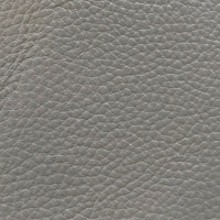 60/23 Montana Lead Grey