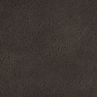 Altara Graphite 10410