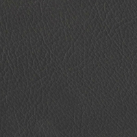New Georgia - Dark Chocolate (NWS 1748)