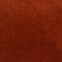 Lynx Burnt Orange