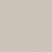 AUD3A Champagne - A Aluminium Handle